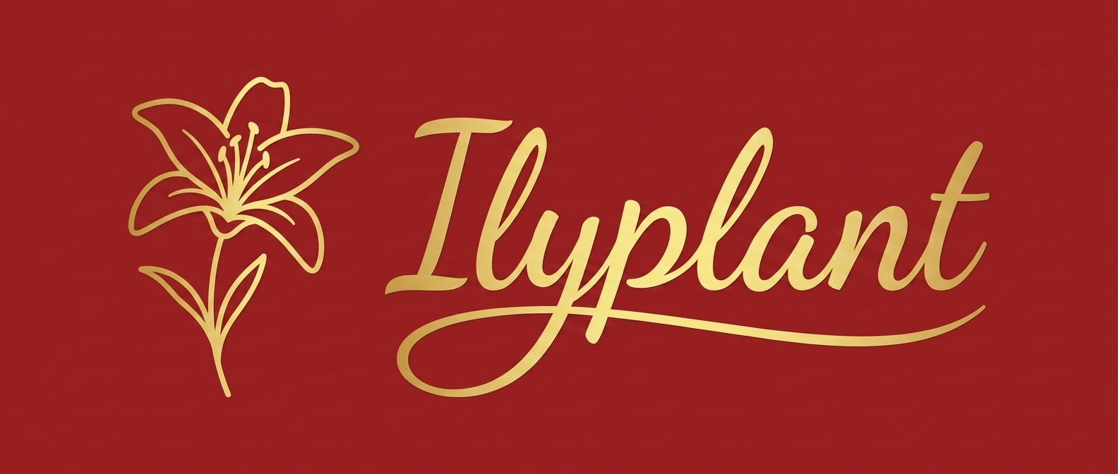 Ilyplant
